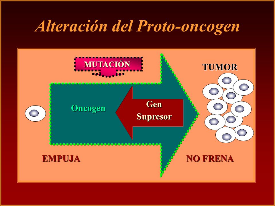 oncogenes y genes supresores de tumores